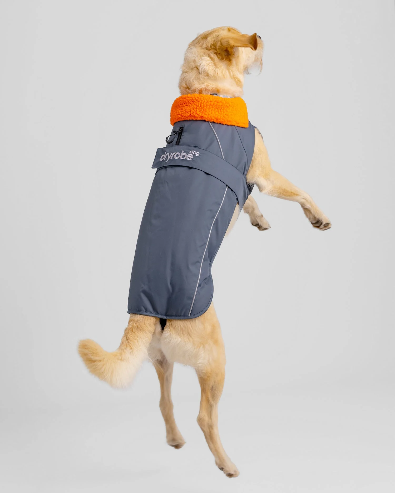 Dark Grey Orange Dog Coat - Image 4