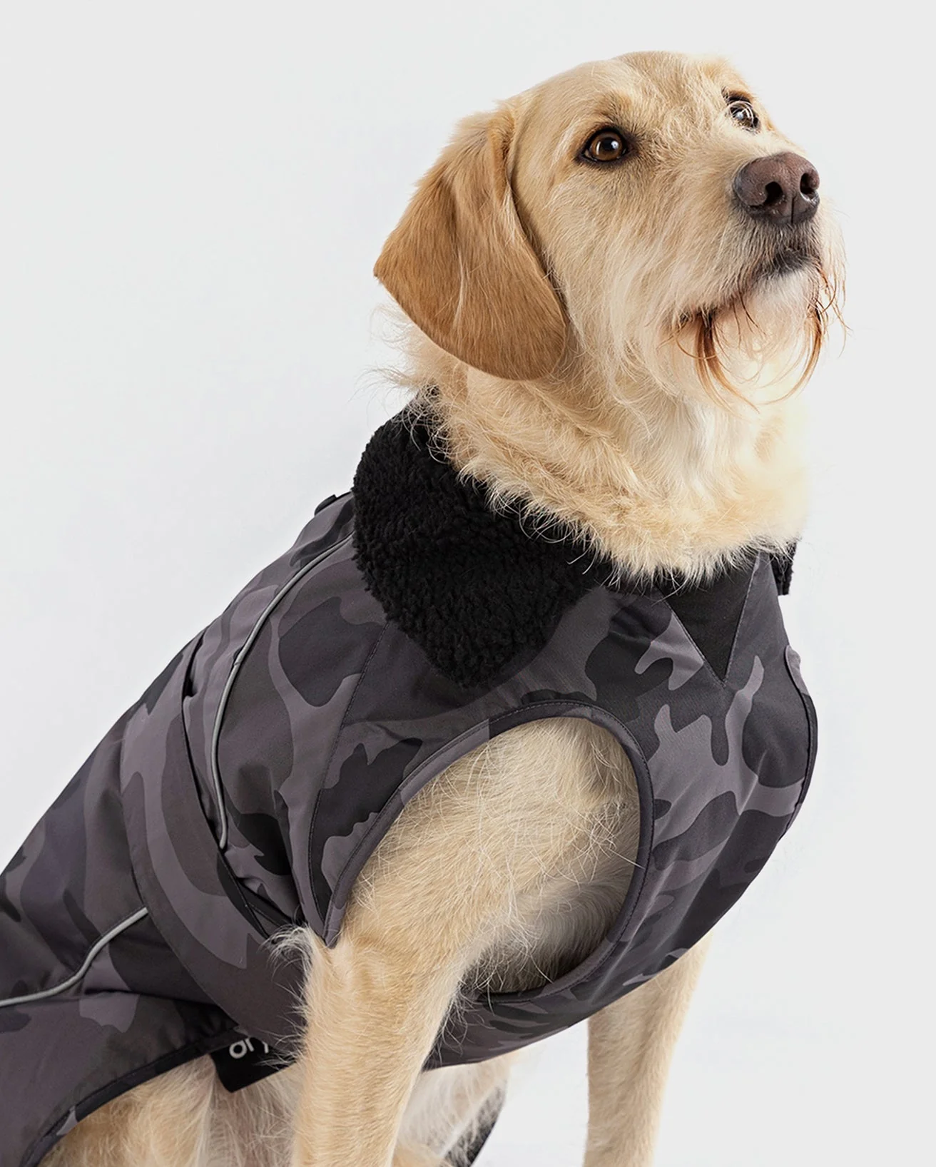 Black Camo Dog Coat - Image 4