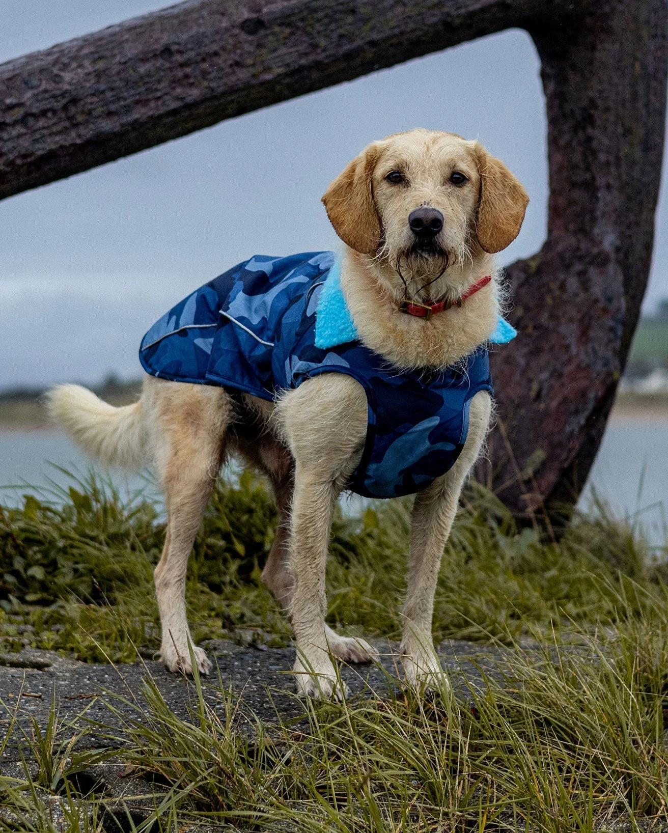 Blue Camo Blue Dog Coat - Image 11