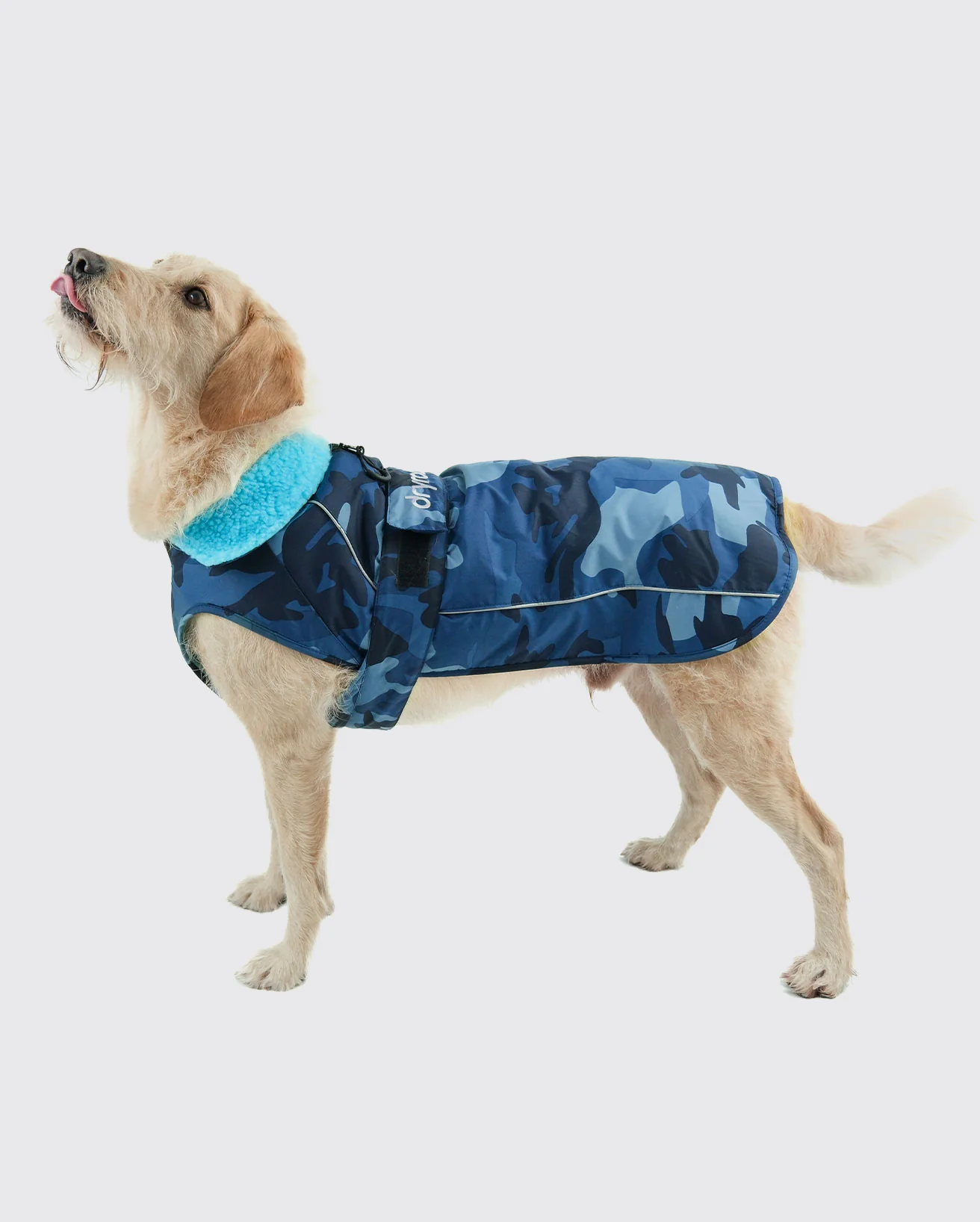 Blue Camo Blue Dog Coat - Image 3