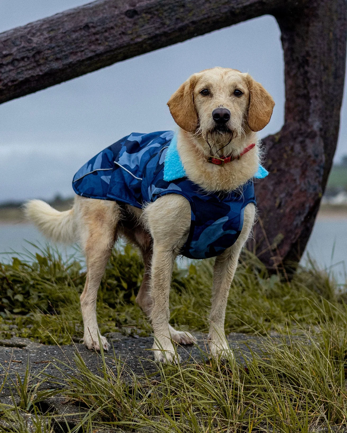 Blue Camo Blue Dog Coat - Image 4