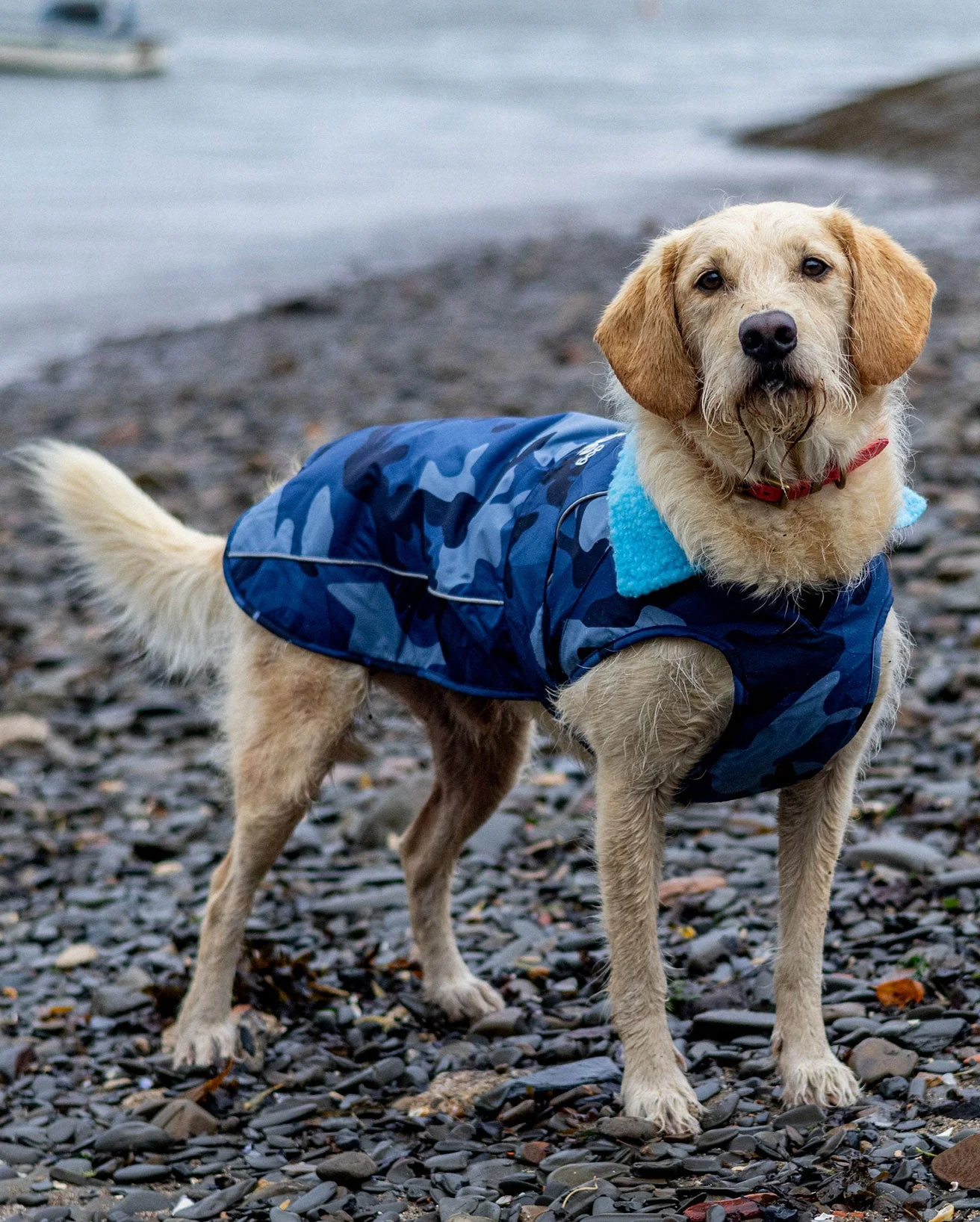 Blue Camo Blue Dog Coat - Image 5