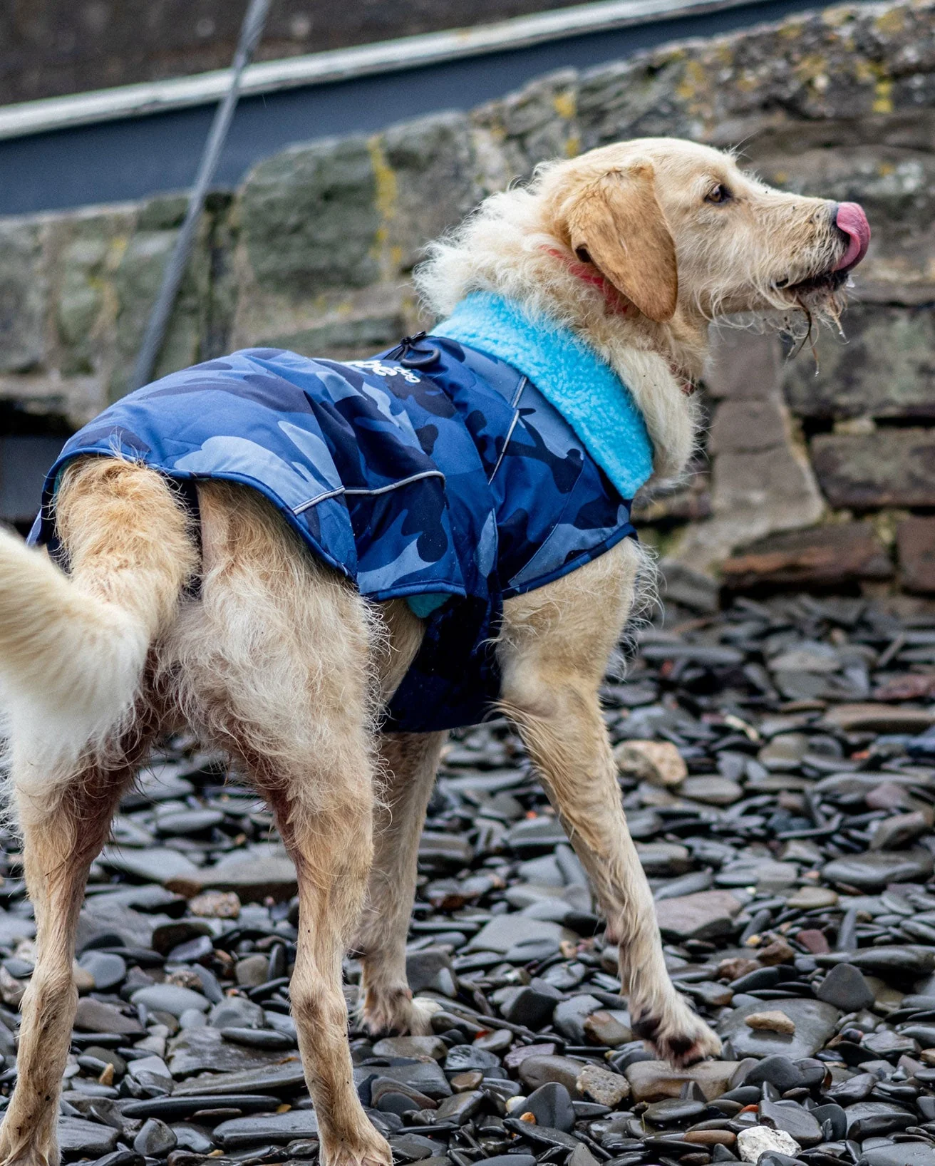Blue Camo Blue Dog Coat - Image 6