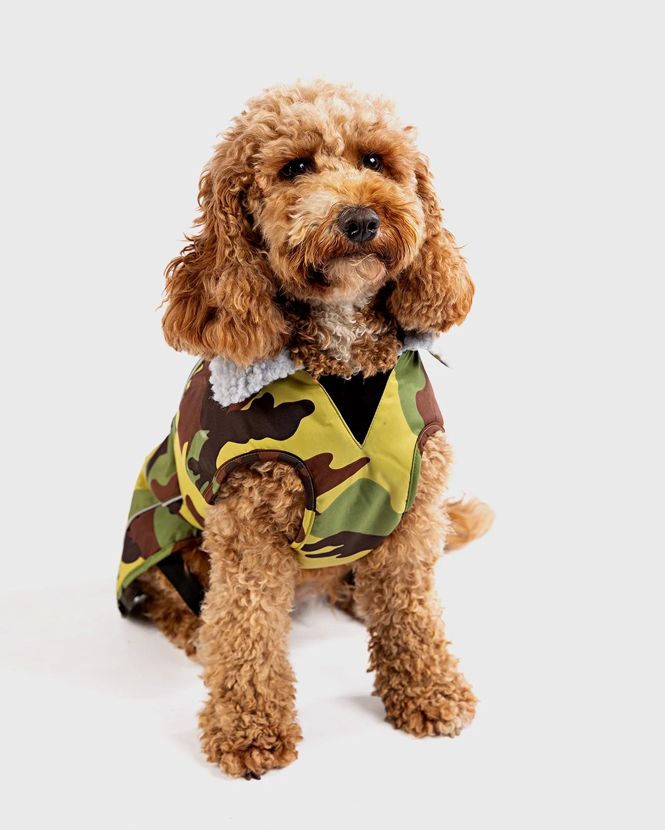 Camo Grey Dog Coat - Image 3