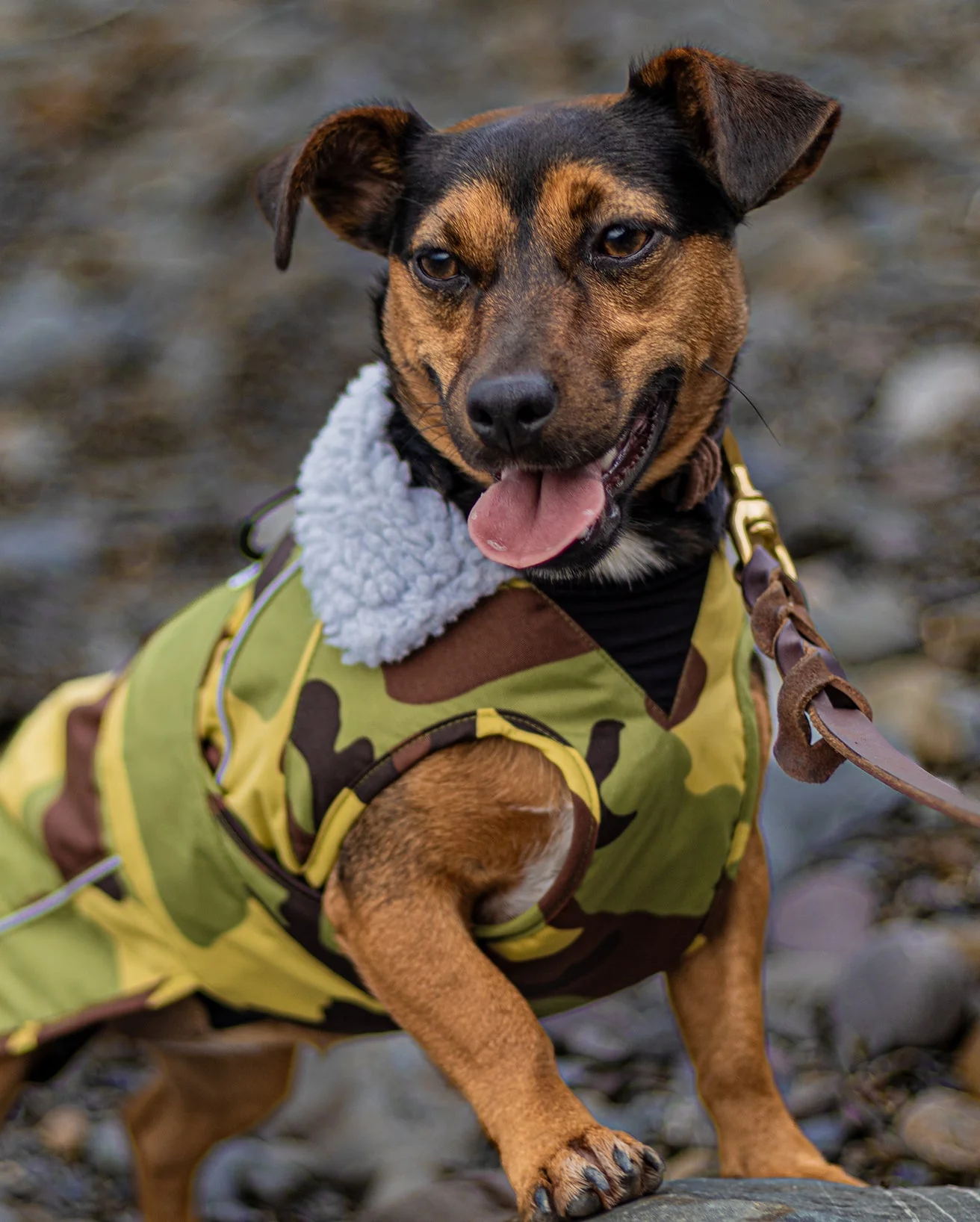 Camo Grey Dog Coat - Image 7