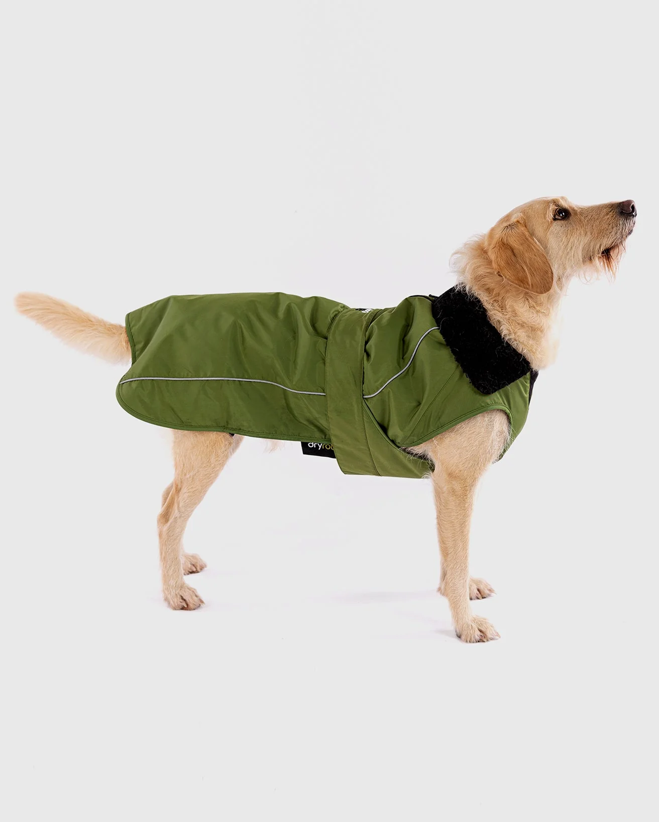 Forest Green Black Dog Coat - Image 11