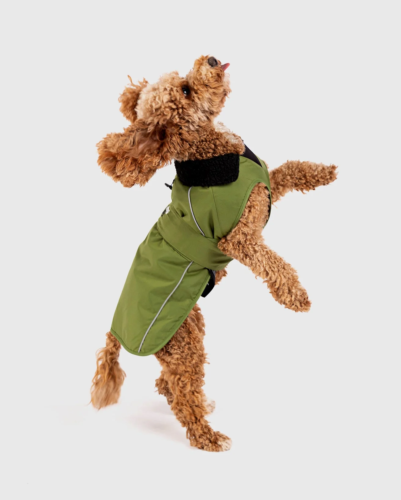 Forest Green Black Dog Coat - Image 3
