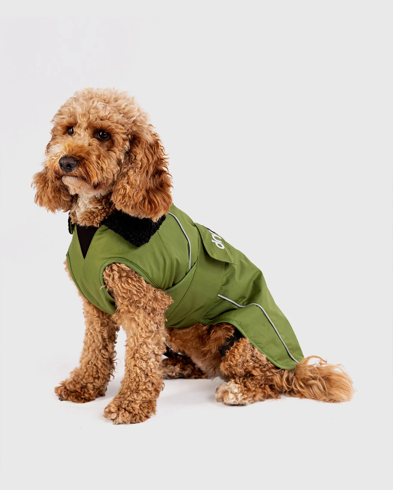 Forest Green Black Dog Coat - Image 4