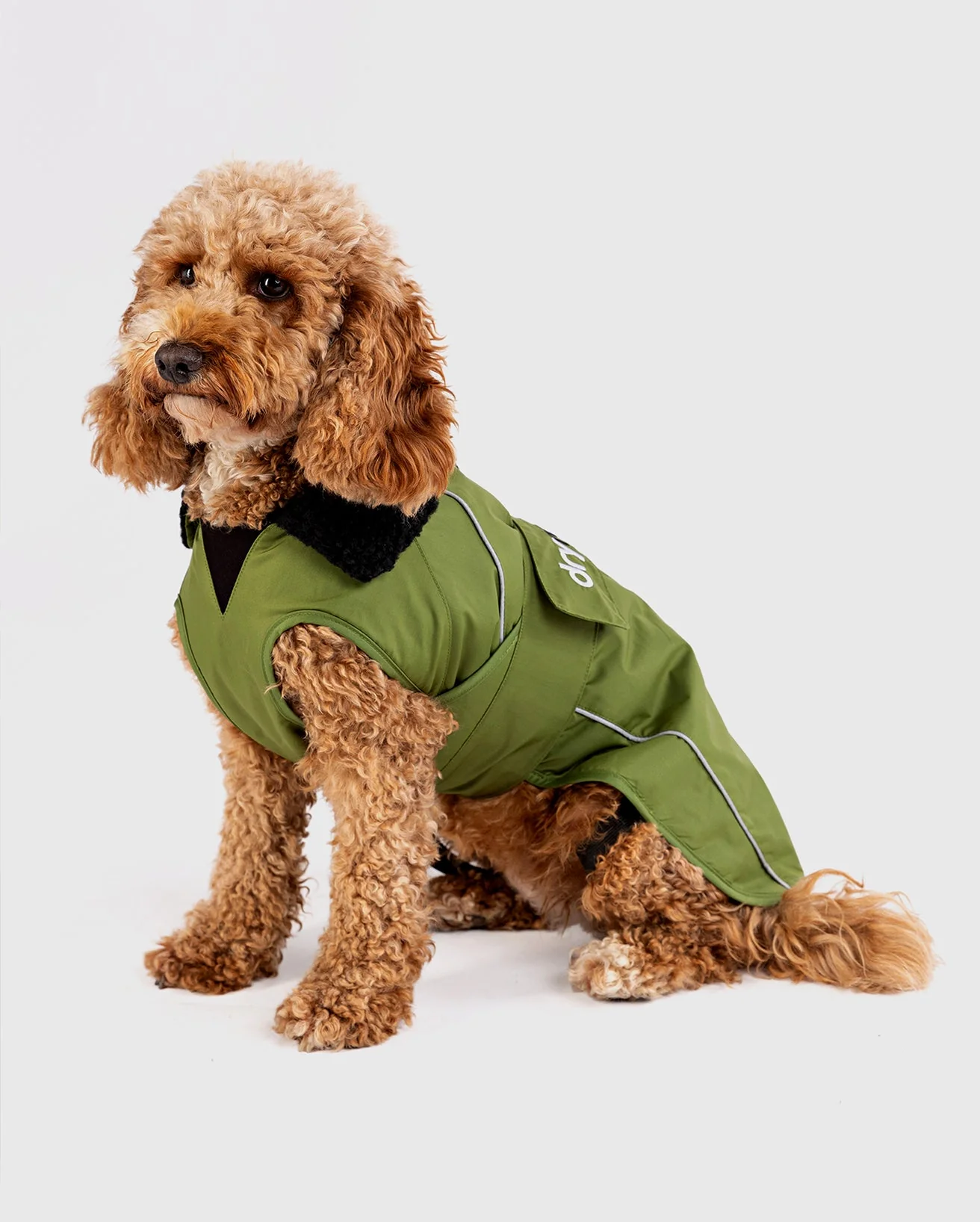 Forest Green Black Dog Coat - Image 5