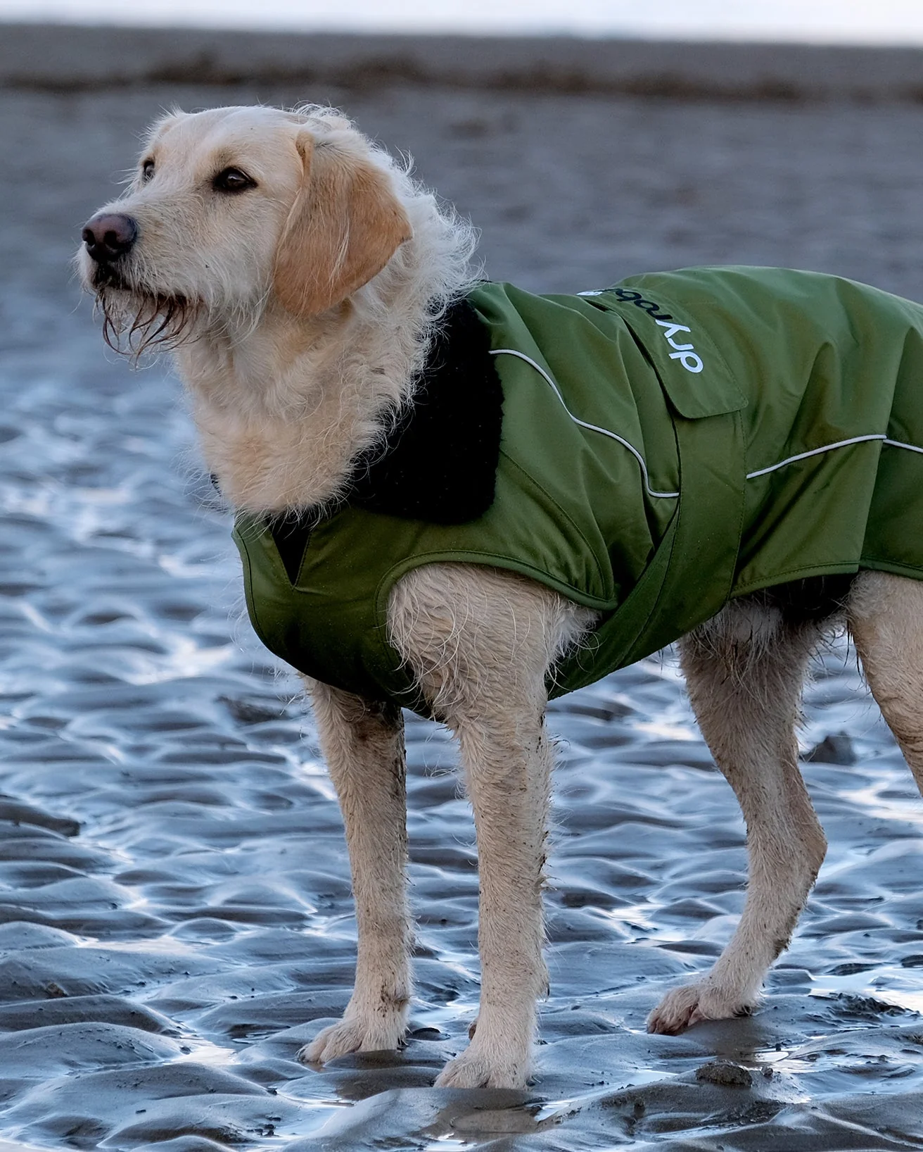 Forest Green Black Dog Coat - Image 7