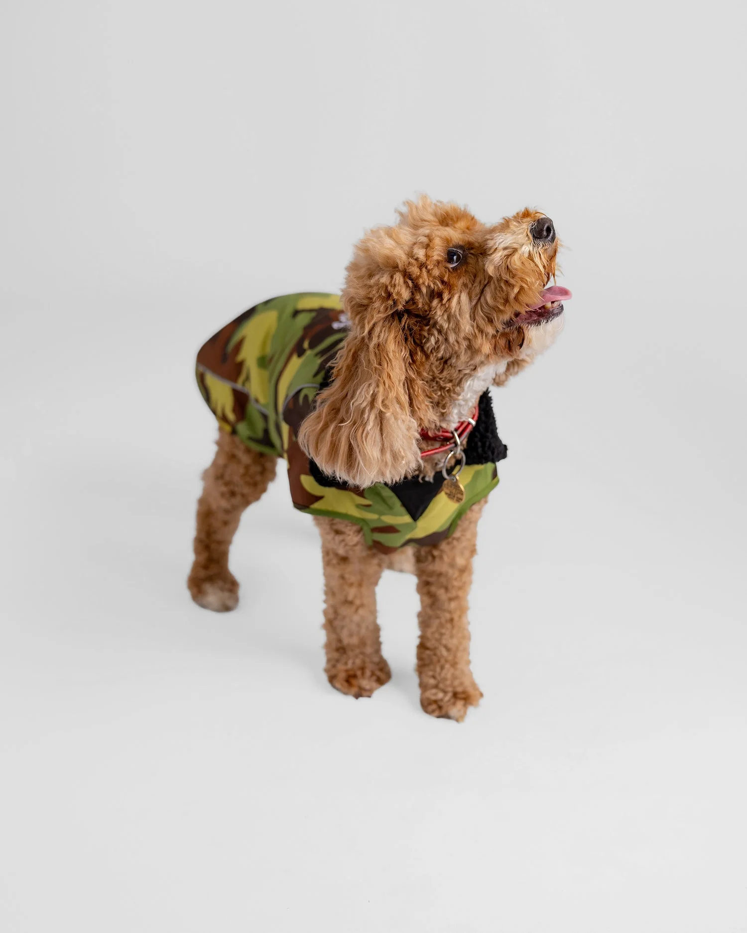 Green Camouflage Black Dog Coat - Image 5